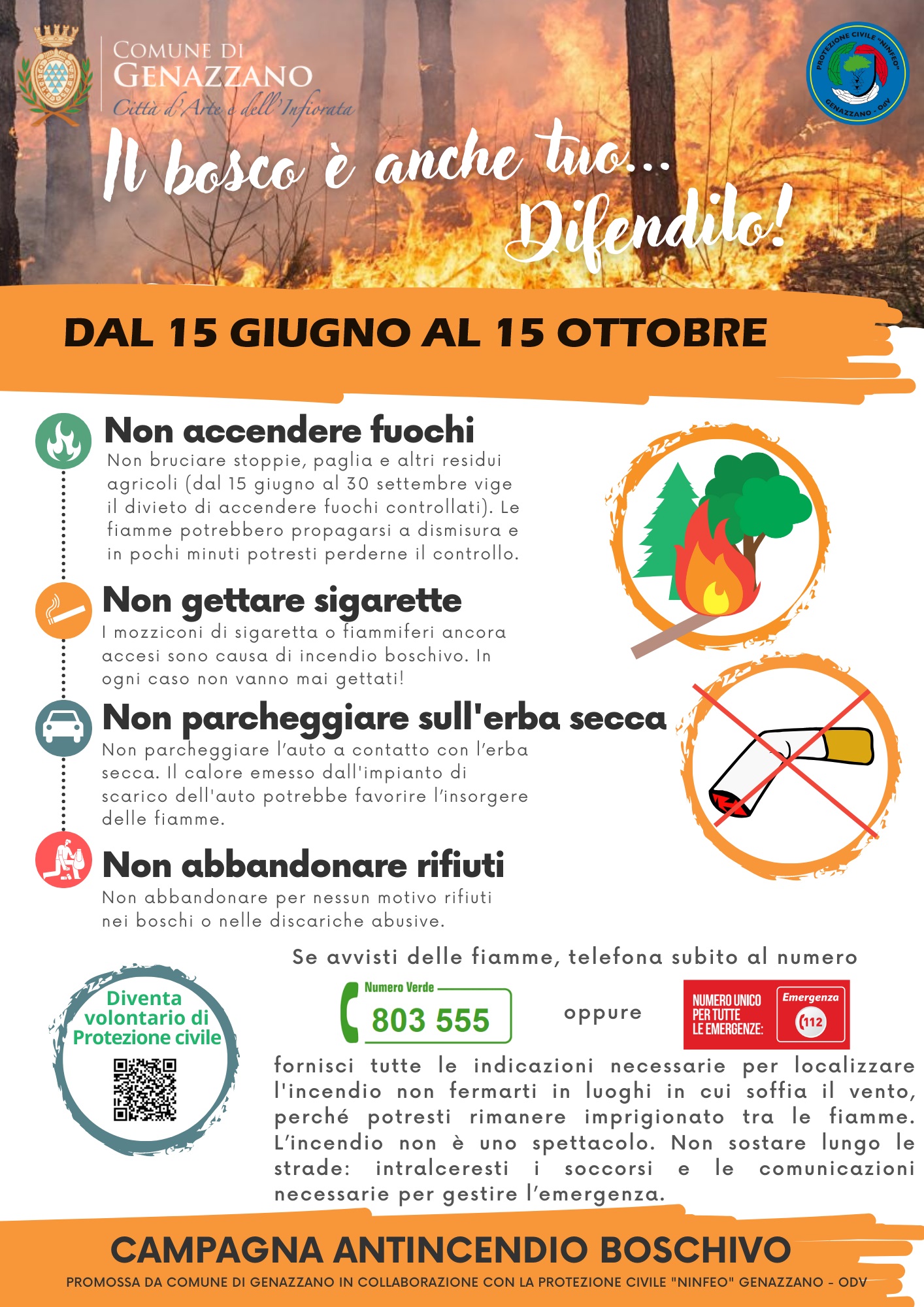 Ordinanza n. 20/2024 - Campagna Antincendio Boschivo 2024 